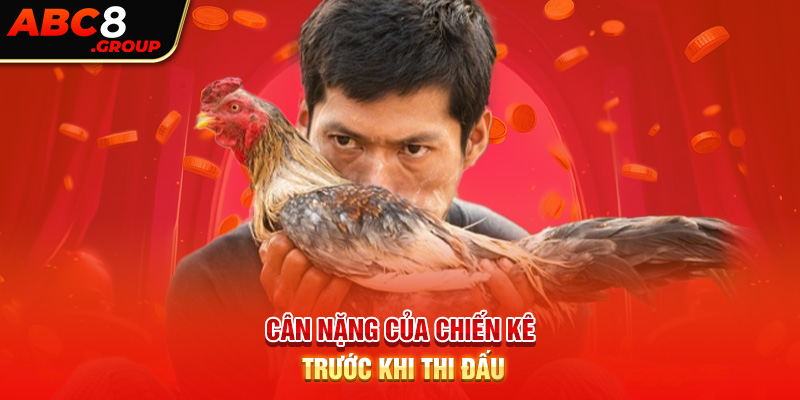 Cân nặng của chiến kê trước khi thi đấu