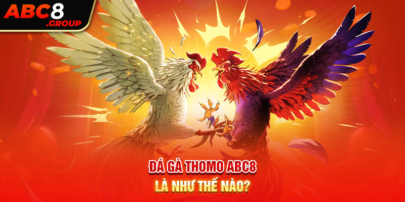 Đá gà Thomo ABC8 là gì?