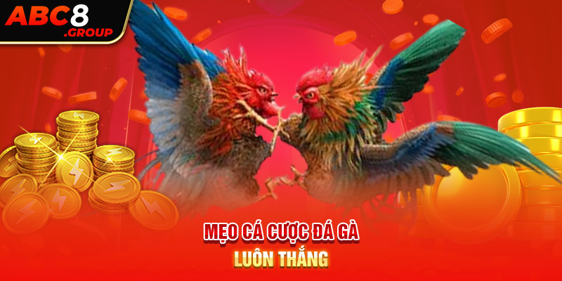 Mẹo cá cược đá gà luôn thắng