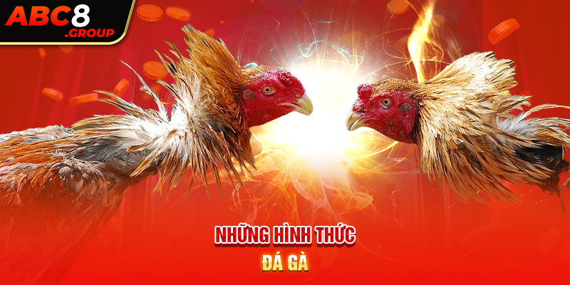 Những hình thức đá gà 